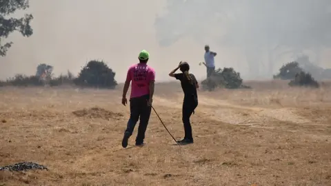 fuego fresnadillo  (151)