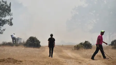 fuego fresnadillo  (153)