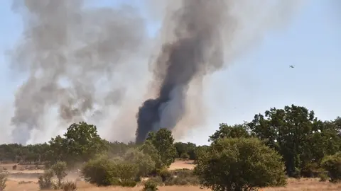 vuego fresnadillo  (10)