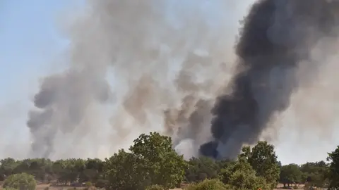 vuego fresnadillo  (12)