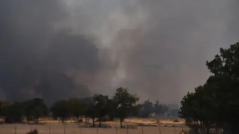 vuego fresnadillo  (20)