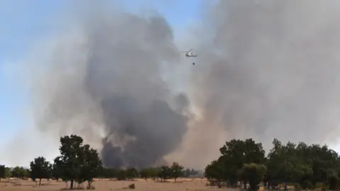 vuego fresnadillo  (24)