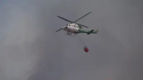 vuego fresnadillo  (25)