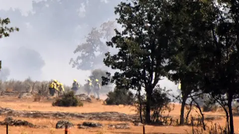 Imagen de archivo de un brigada en un incendio