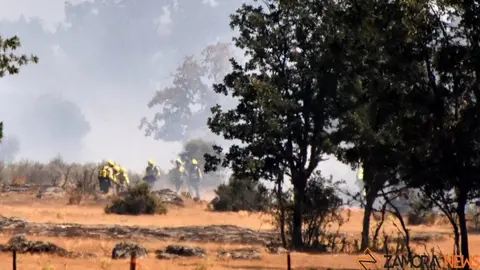 Imagen de archivo de brigadistas apagando un fuego