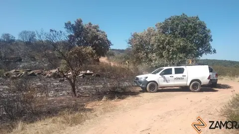 Incendio en Granja de Moreruela