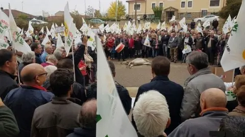 7675249bb8d57f5479f51f9662e3eac5_XL