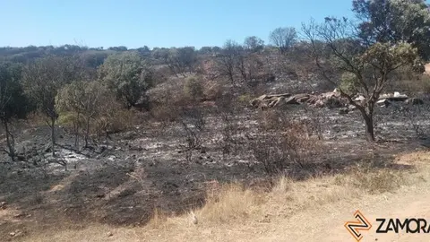 Foto de Archivo del fuego que se declaró en Granja de Moreruela