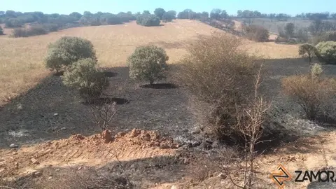 Superficie arrasada en Granja de Moreruela