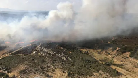 Estado del incendio de Carracedo ofrecido por las BRIF de Tabuyo