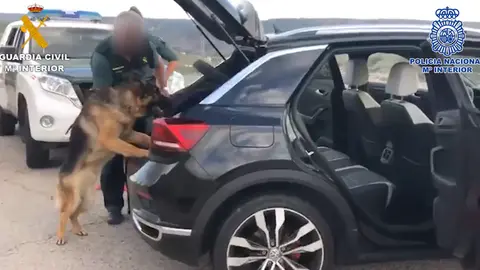 Captura de uno de los registros efectuados durante el dispositivo