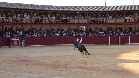 5C5A8697 copia