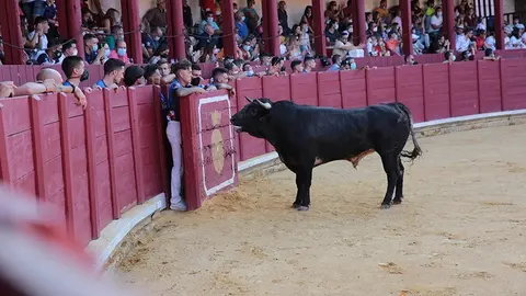 5C5A8716 copia