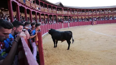 5C5A8724 copia