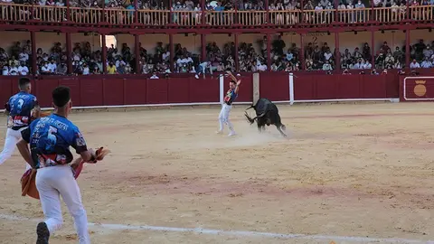 5C5A8728 copia