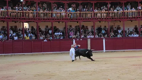 5C5A8733 copia