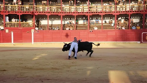 5C5A8850 copia