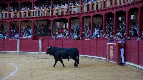 5C5A8963 copia