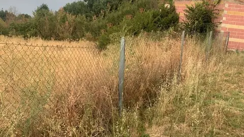 Maleza en solares de Mayalde