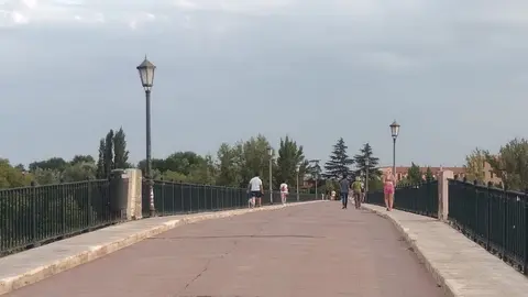 Viandantes por el Puente de Piedra