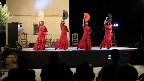 Actuación en el Festival Flamenco Liberalia, en Toro. | FOTO: Rocio Gato