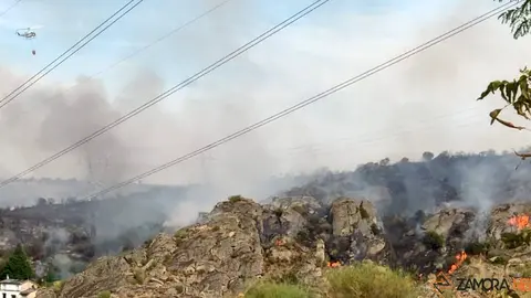 incendio muelas ricobayo