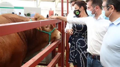 Luis Tudanca y Ana Sánchez durante su visita a la Feria Agropecuaria de Salamanca
