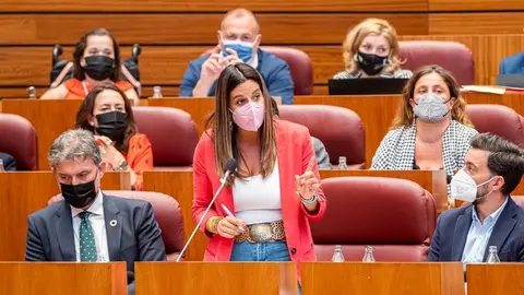 La coordinadora del área de Familia del Grupo Socialista en las Cortes,  Nuria Rubio