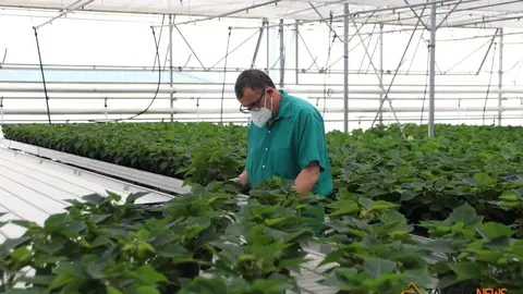 WhatsApp Image 2021-09-08 at La consejera de Familia, Isabel Blanco, junto al presidente de la Fundación Personas, Patricio Santana en la sede de Asprosub en Morales del Vino