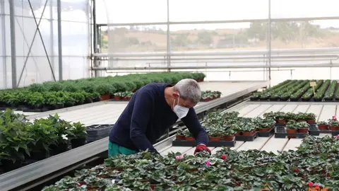 La consejera de Familia, Isabel Blanco, junto al presidente de la Fundación Personas, Patricio Santana en la sede de Asprosub en Morales del Vino
