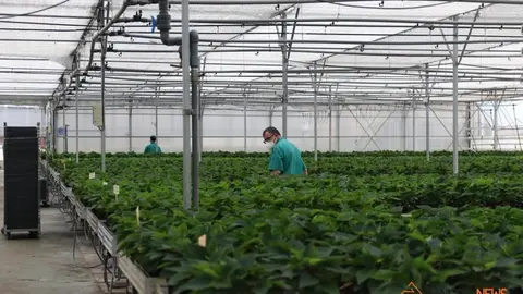 La consejera de Familia, Isabel Blanco, junto al presidente de la Fundación Personas, Patricio Santana en la sede de Asprosub en Morales del Vino