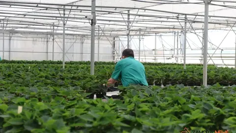 sede de Asprosub en Morales del Vino