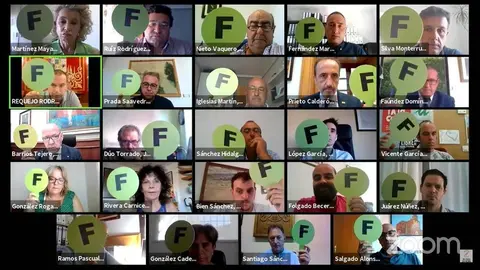 Pleno Telemático Diputación de Zamora