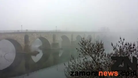 niebla zamora