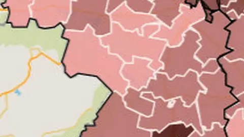 Mapa de mortalidad COVID por ZBS