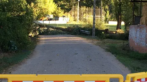 chopo caído piscinas