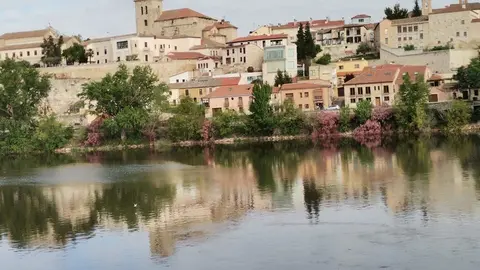 Vista de Zamora
