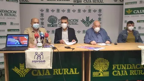 Presentación de la Marcha Asprosub