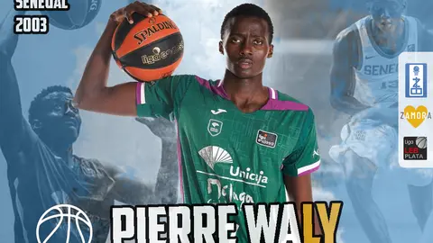 Pierre Waly