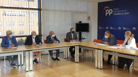Reunión de alcaldes de Aliste con el PP