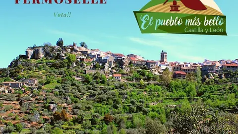 Cartel Fermoselle candidatura Pueblo más Bonito 2021