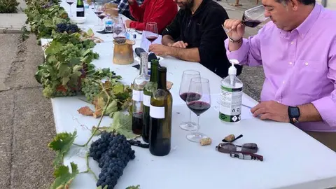 Cata en Cibanal. Imagen de archivo