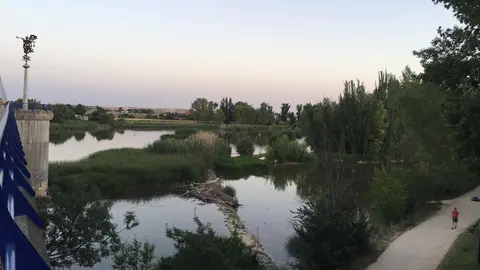 Río Duero a su paso por Los Tres Árboles