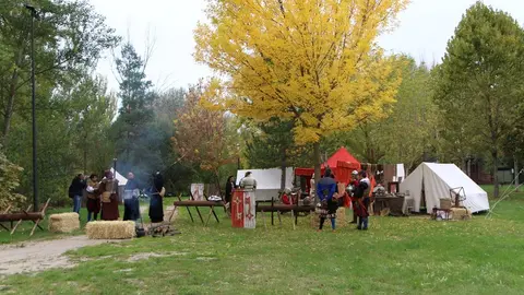 Zamora Comunera (10)