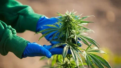 #2697 zamoranews.com