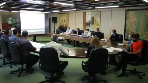 La delegada territorial Clara San Damían en la Comision de Patrimonio