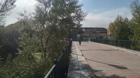 Gente paseando por el puente de piedra de Zamora