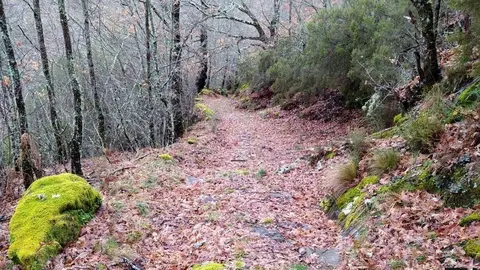 otoño sanabria (1)