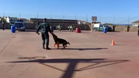 Exhibición de perros adiestrados en el CEIP Fermoselle