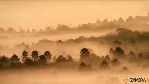 niebla monte